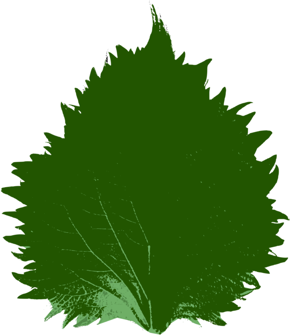 Wolverine Clipart 3d Png - Clip Art Transparent Png (750x750), Png Download