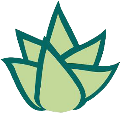 Aloe Vera Ebi Clipart (700x700), Png Download