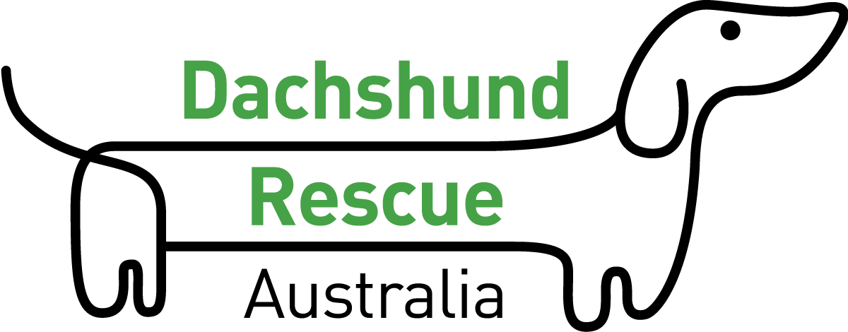 Logo Logo Logo Logo Logo - South Australia A Brilliant Blend Clipart (1200x470), Png Download