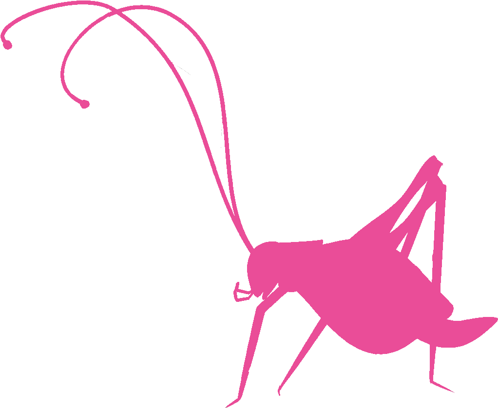 Pink Cricket Inc - Crickets Cartoon Clipart (1080x1024), Png Download