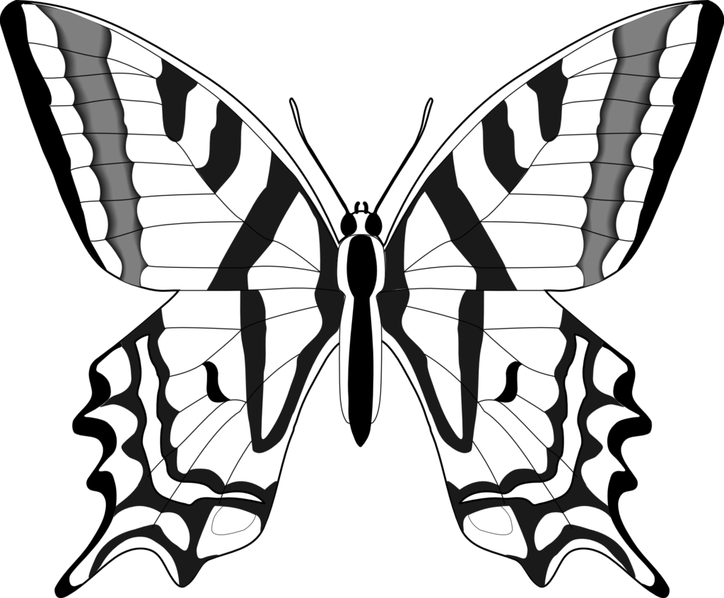 Butterfly Black And White Butterfly Clip Art Black - Clipart Butterfly Images Black And White - Png Download (830x685), Png Download