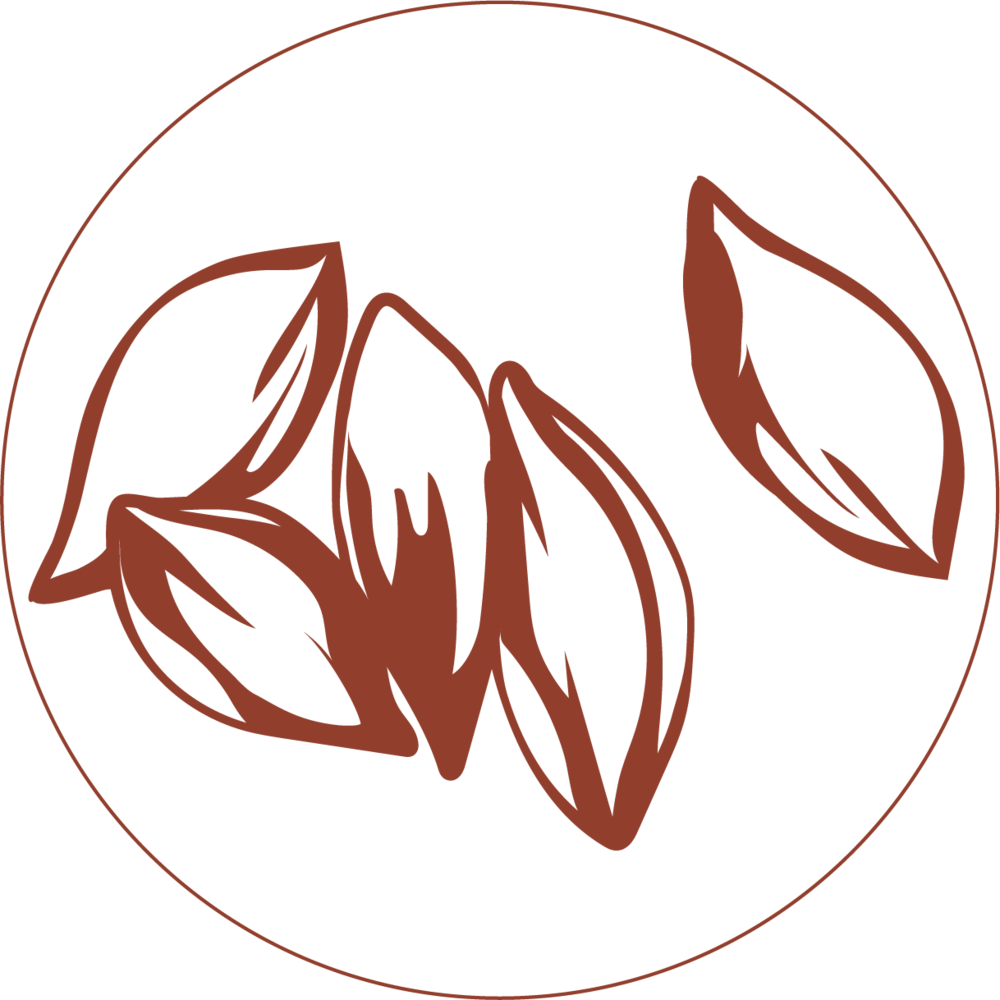 Dairy Free Yogurt Plant Based With Zero - Pili Clip Art - Png Download (1000x1000), Png Download