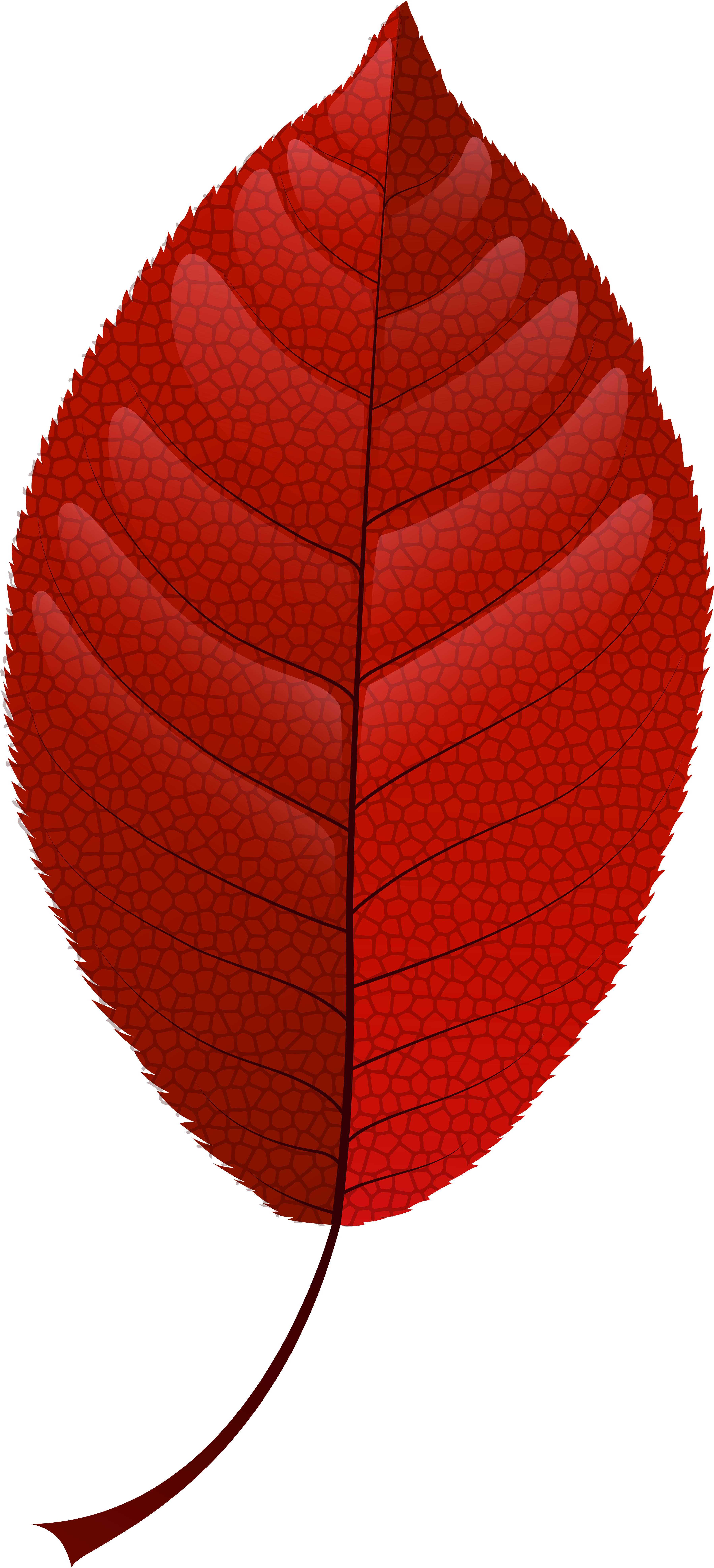 Fall Leaves Clip Art Png Transparent Png (3640x8000), Png Download