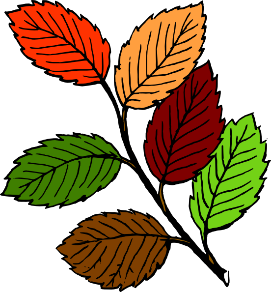 Fall Leaves Svg Clip Arts 552 X 594 Px - Png Download (552x594), Png Download