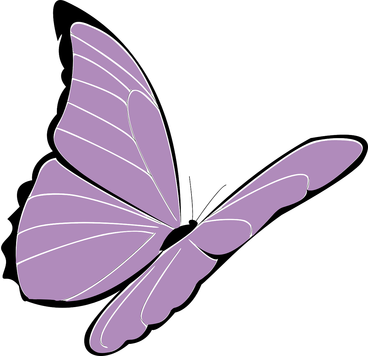 Lavender Clipart Butterfly - Butterfly Purple Cartoon - Png Download (744x720), Png Download