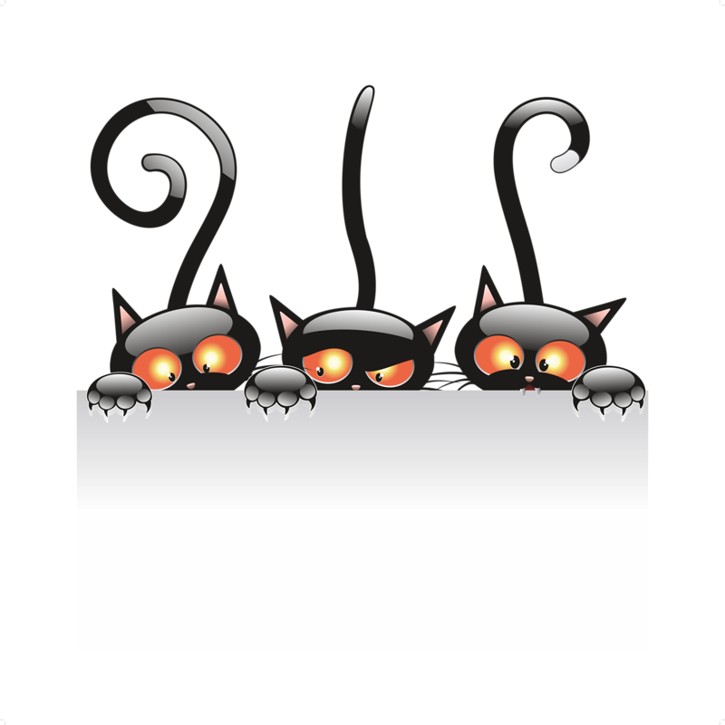Cats Cartoons Halloween Clipart Black Cat Kitten - Halloween Black Cat Png Transparent Png (800x800), Png Download
