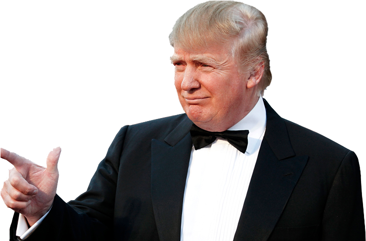 Donald - Donald Trump Png Clipart (745x483), Png Download