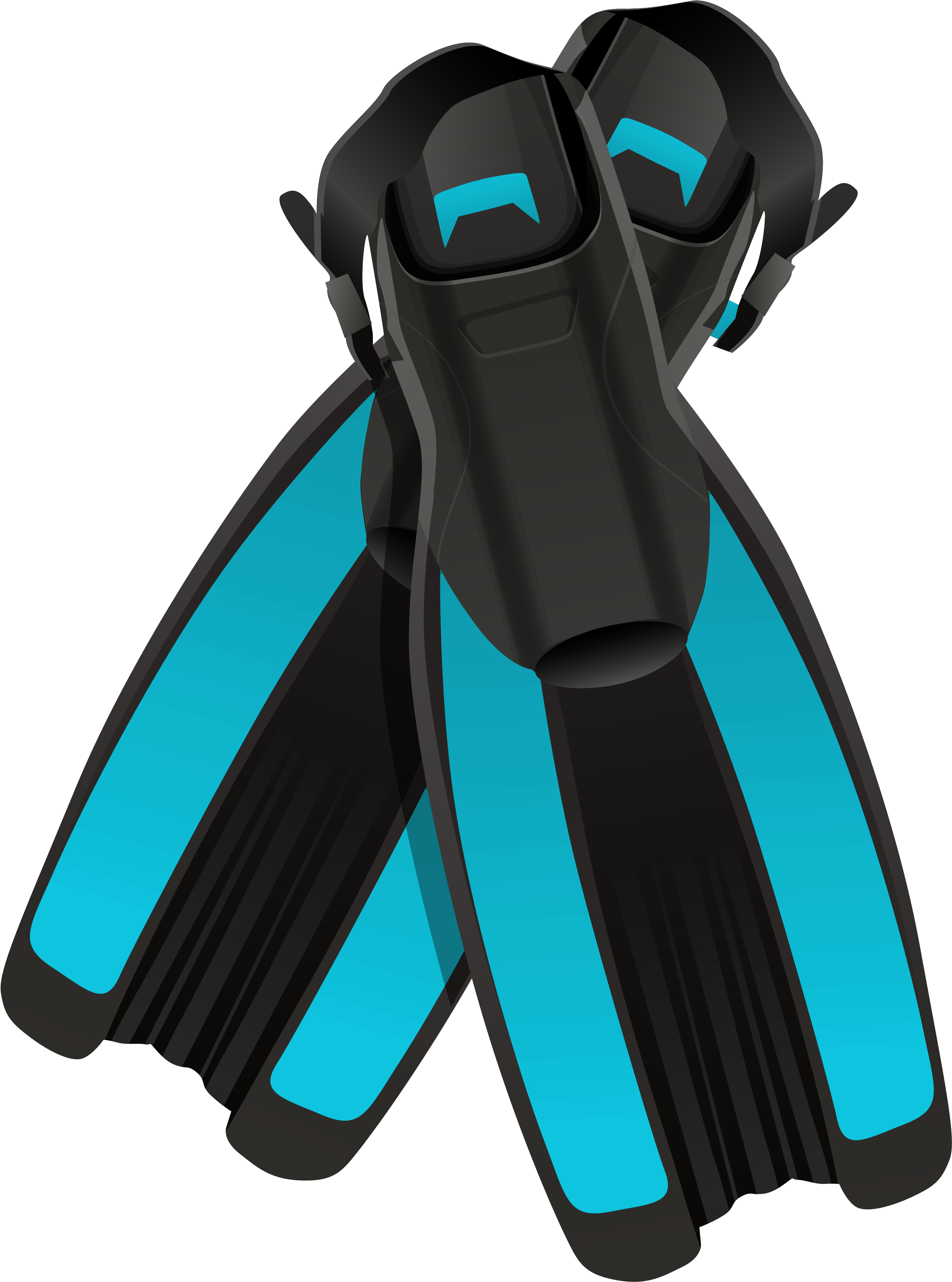 Swimming Fins Png Clipart (3364x4409), Png Download