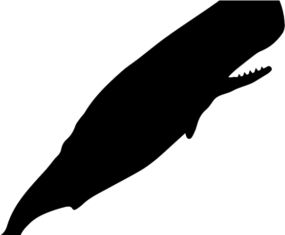 Sperm Whale Clipart Carton - Dremel Icon - Png Download (640x480), Png Download