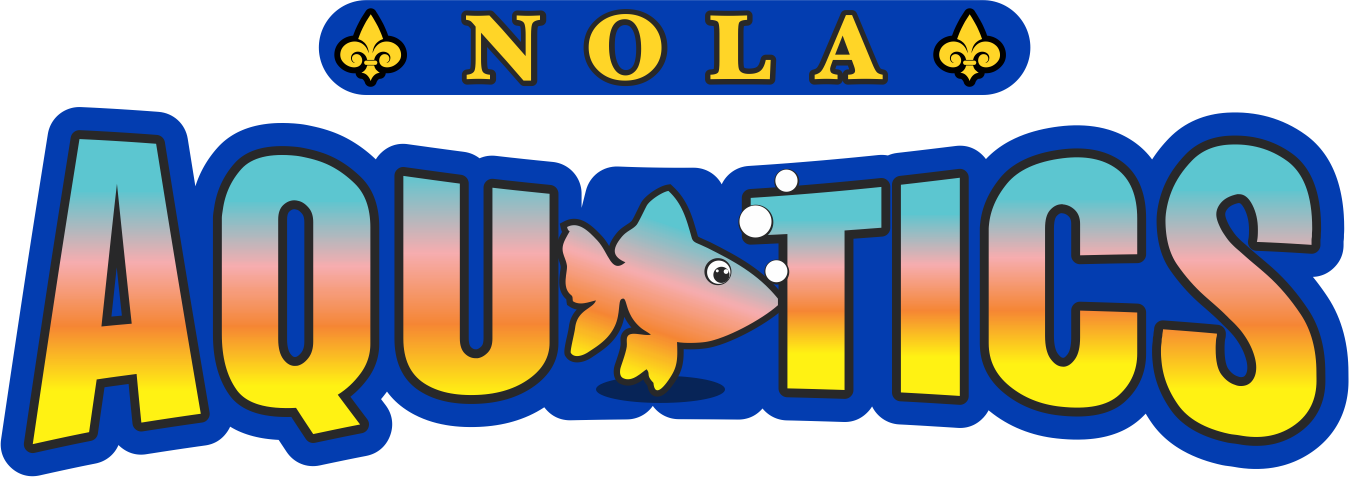 Aquatics & Swimming Stamford Ymca Clipart (1349x477), Png Download