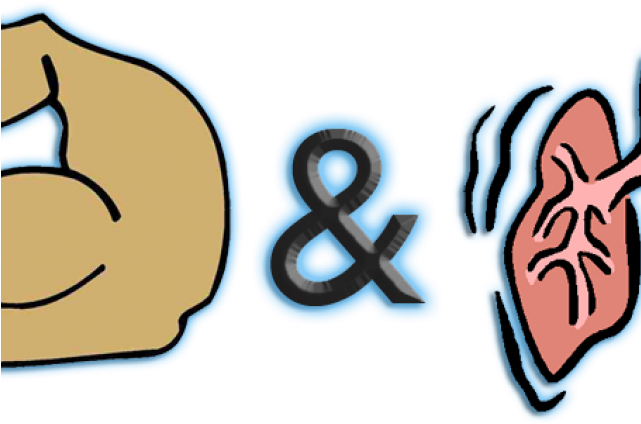 Fitness Clipart Strength And Conditioning - Lungs - Png Download (640x480), Png Download