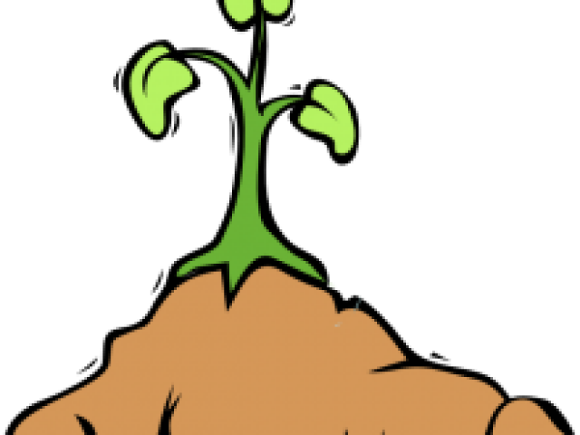 Dirt Clipart Kind Student - Cartoon Plant Growing Png Transparent Png (640x480), Png Download