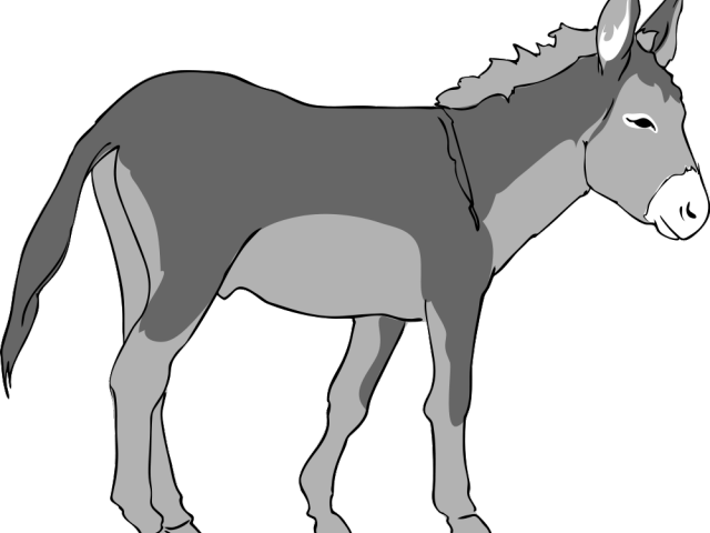Clip Black And White Download Carrot Clipart Realistic - Donkey Vector Png Transparent Png (640x480), Png Download
