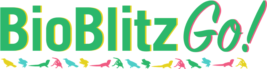 Zealandia And The Halo, Wellington - Graphic Design Clipart (950x350), Png Download