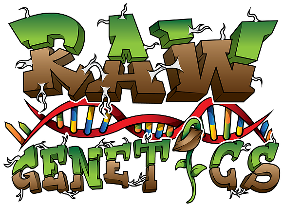 Raw Genetics Upgrade Final - Illustration Clipart (600x600), Png Download