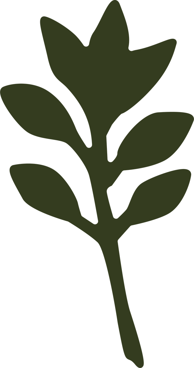 Categories Clipart (675x1280), Png Download