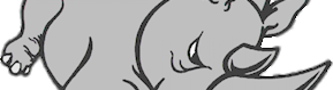 Rhino Stucco Logo - Illustration Clipart (1100x300), Png Download