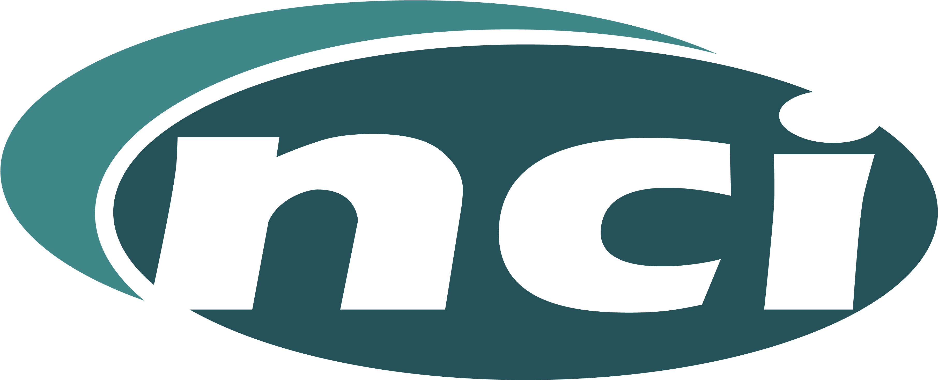 Nichols Companies Clipart (5300x1646), Png Download