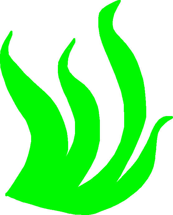 Seaweed - Seaweed Clipart (556x691), Png Download