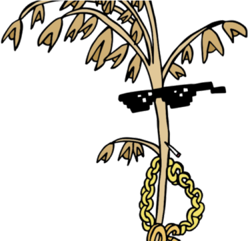 Oat Clipart Nutrition Health - Png Download (640x480), Png Download