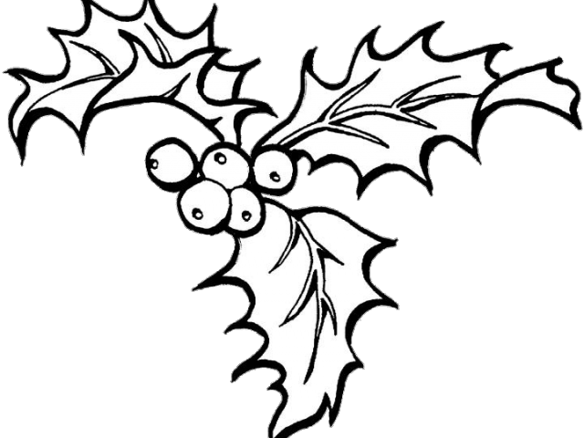 Holley Clipart December - Christmas Coloring Pages Holly - Png Download (640x480), Png Download