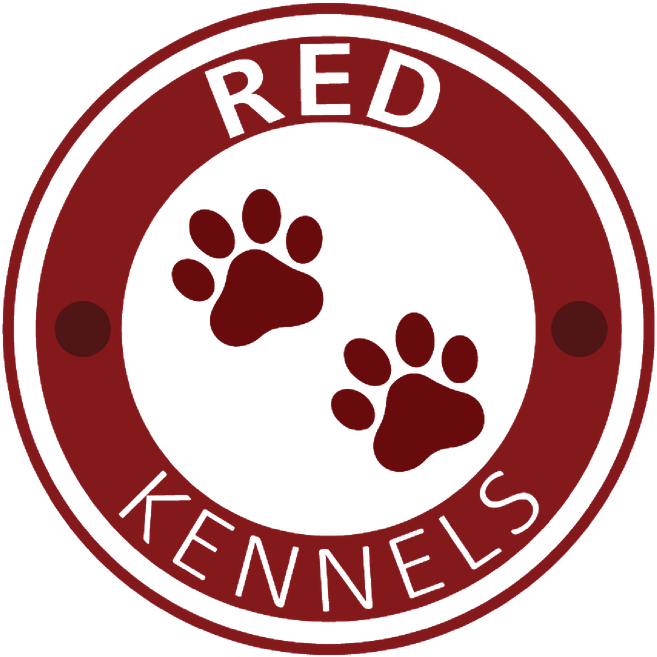 3 Month Old Labrador - Circle Clipart (690x690), Png Download