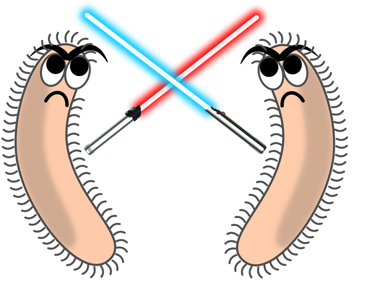 Bacterial Machinery For Competition, Killing And Defense Clipart (1301x1005), Png Download