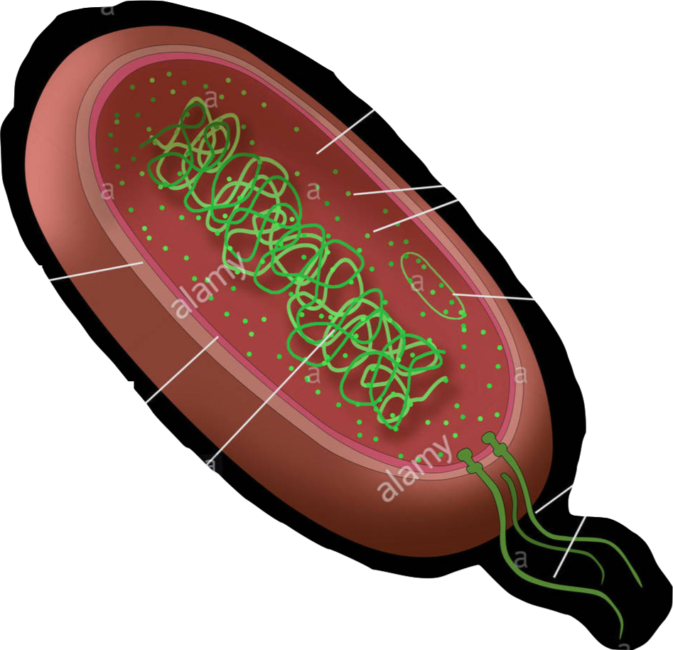 Location - Illustration Clipart (947x914), Png Download