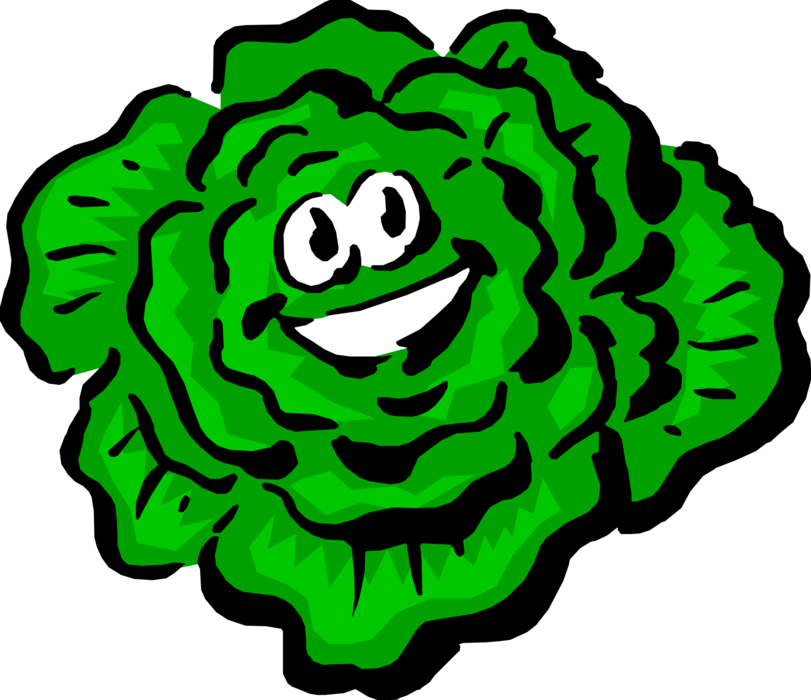 Vector Illustration Of Anthropomorphic Edible Leafy - Alface Desenho Png Clipart (811x700), Png Download