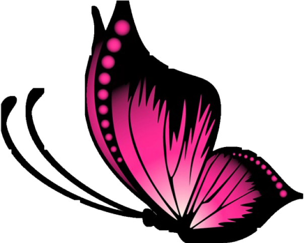 Pink Butterfly Vector Png Clipart (640x480), Png Download