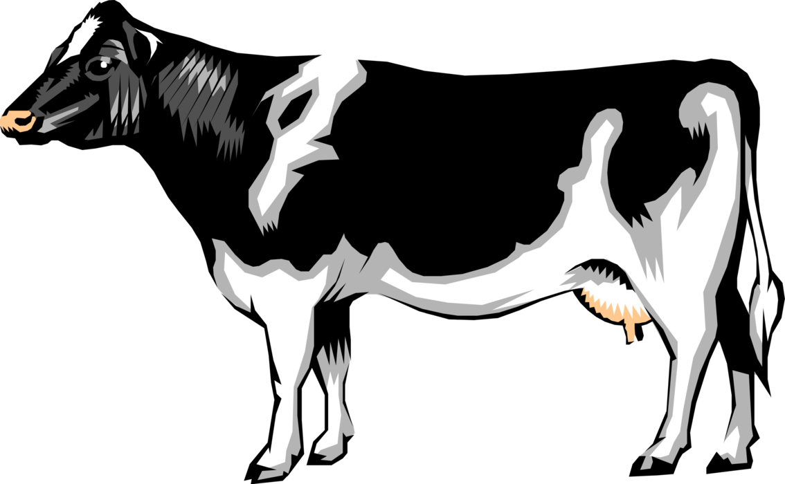 Vector Illustration Of Farm Agriculture Livestock Animal - Eagles Vs Cowboys Funny Clipart (1134x700), Png Download