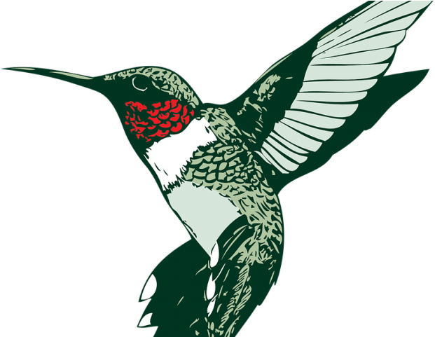 Hummingbird Clipart Clip Art - Hummingbird - Png Download (640x480), Png Download