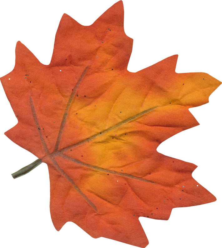 Фотки Art Floral, Sissi, Tapis Houqué, Clip Art, Herbe, - Maple Leaf - Png Download (710x794), Png Download