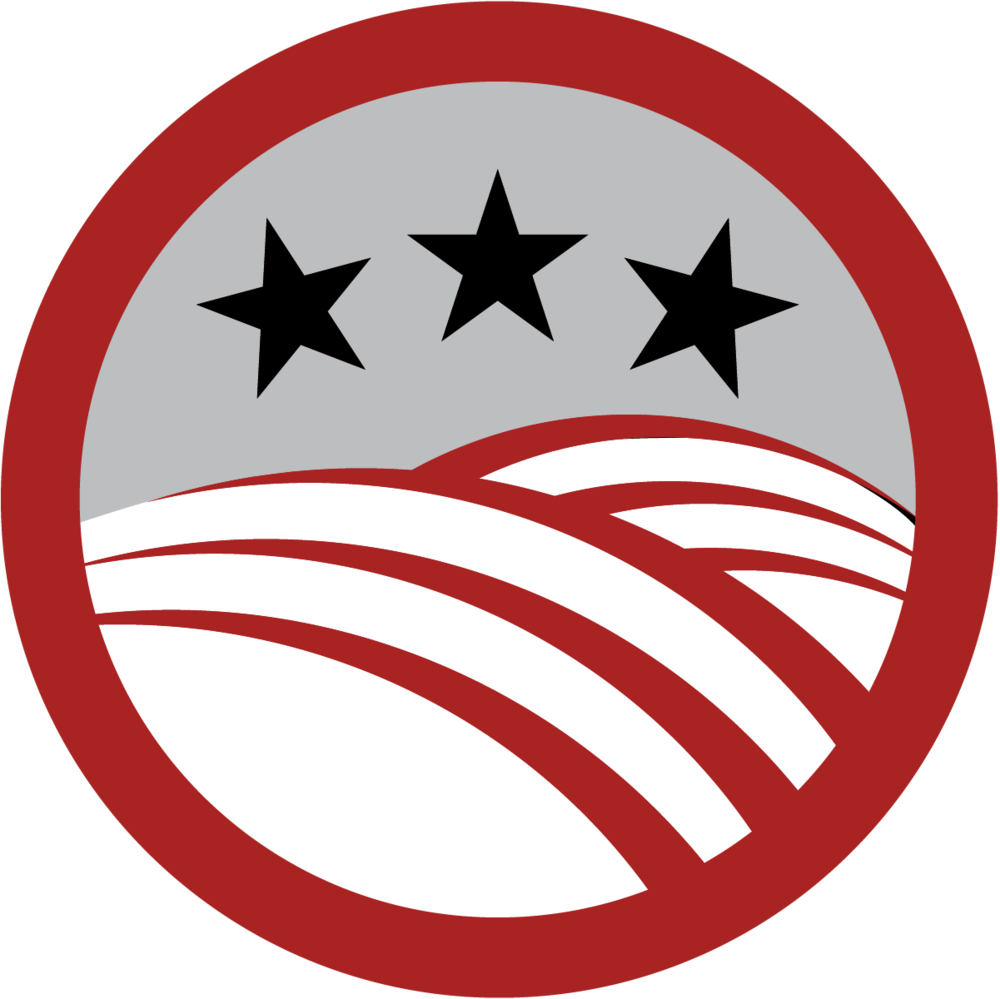 Black Hawk Web Icons-06 - 4star Logo Clipart (1000x999), Png Download