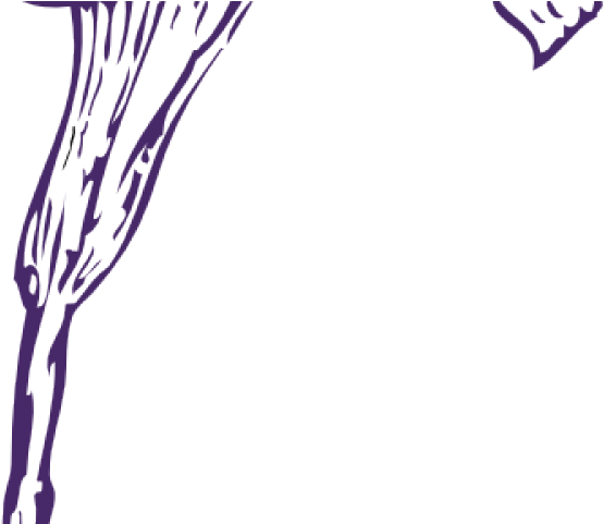 Purple Clipart Calla Lilies - Calla Lily Clip Art - Png Download (640x480), Png Download