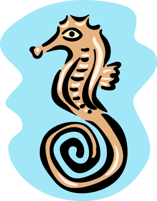 Vector Illustration Of Marine Fish Hippocampus Genus - Zeepaardje Clipart (546x700), Png Download