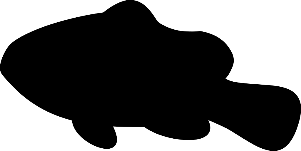 Download Png - Animation Clipart (1024x514), Png Download