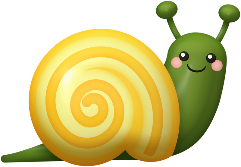 Яндекс - Фотки - Snail Clipart (800x554), Png Download