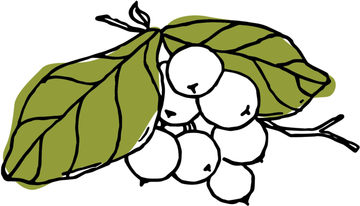 Rise Up Gardens Clipart (1000x995), Png Download