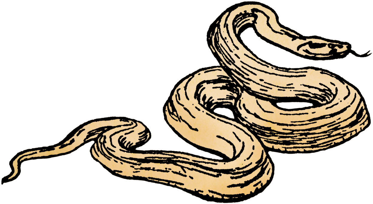 Download Tiff* File - Serpent Clipart (1251x700), Png Download