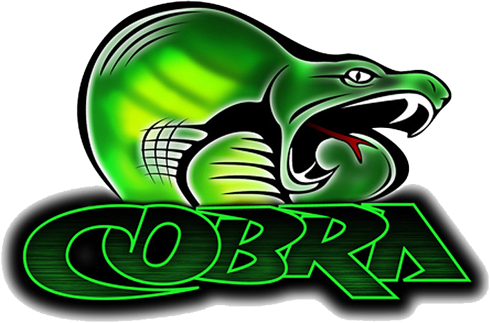 Cobra Clipart (800x550), Png Download