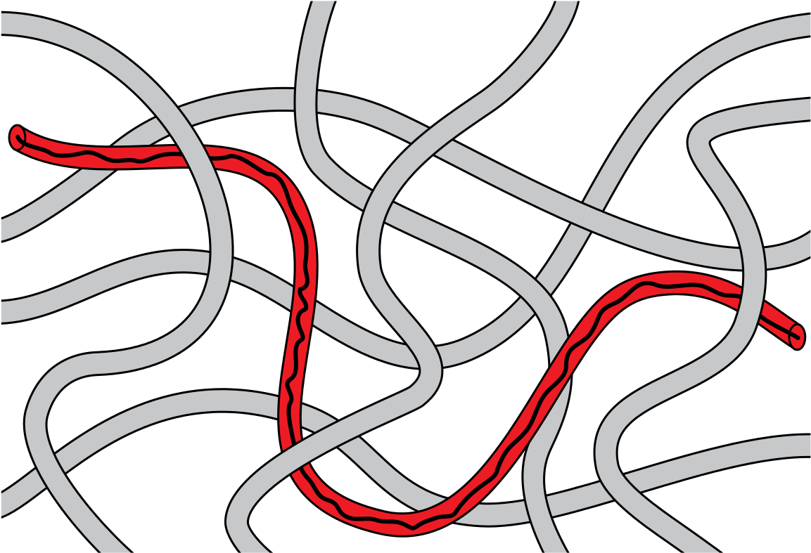 Reptation - Polymer Reptation Clipart (1200x840), Png Download