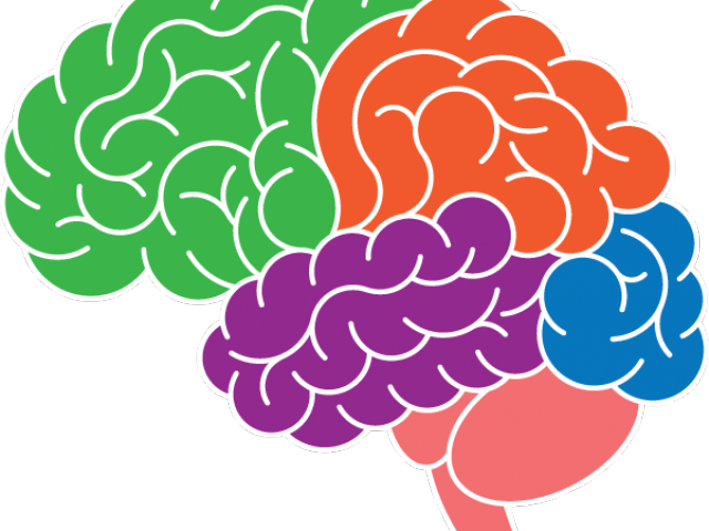 Brain Clipart Electricity - Png Download (640x480), Png Download
