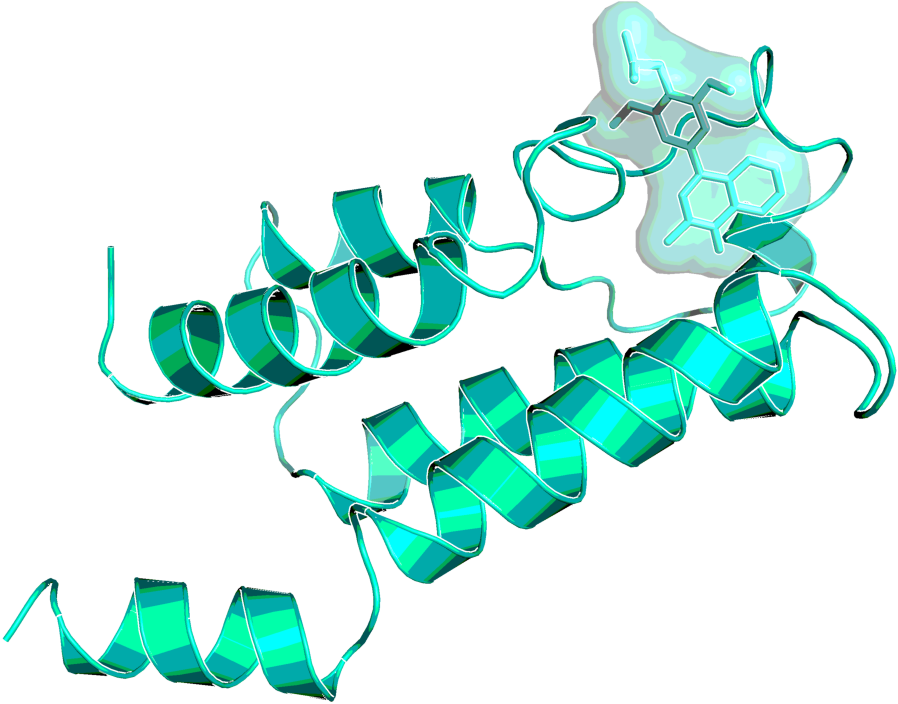 Brd9 With Bi 7273, As Observed By X Ray - Graphic Design Clipart (1032x778), Png Download