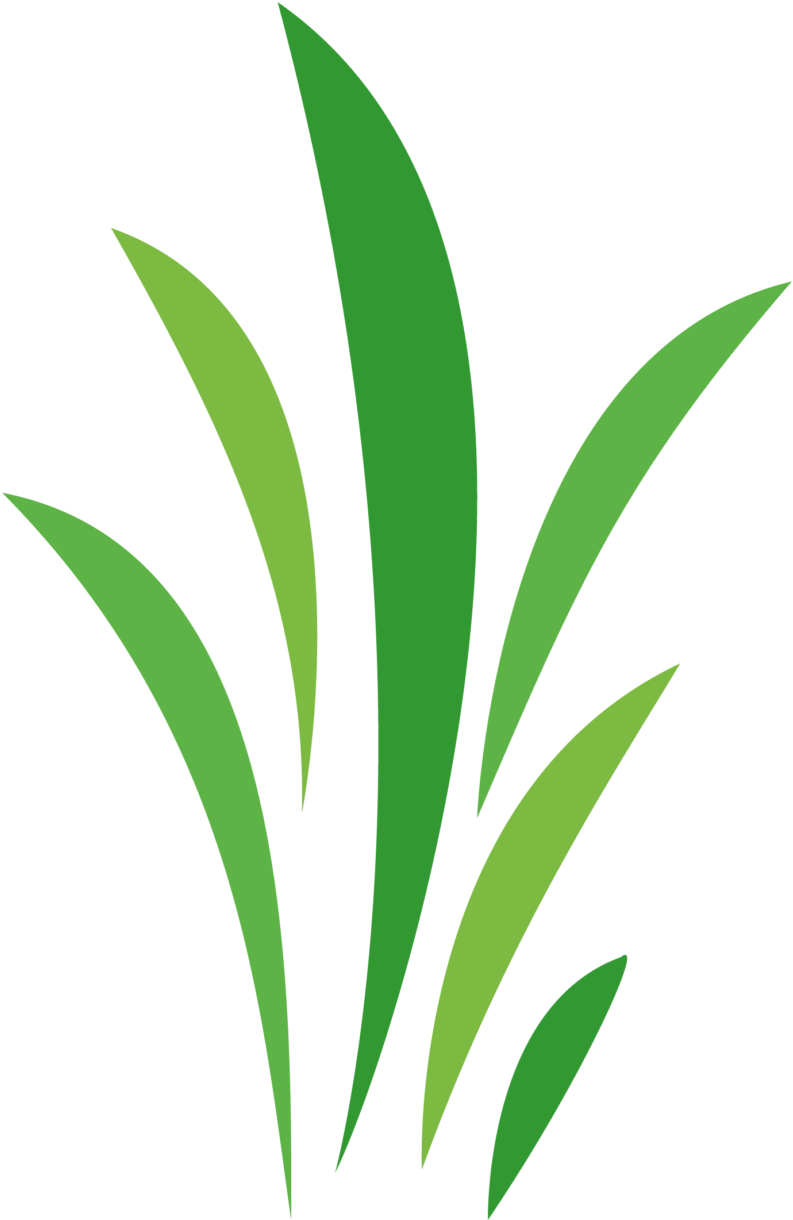 Annie & Into The Woods Auditions At Wildwood Wildwood Clipart (800x1235), Png Download