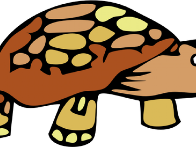 Desert Turtle Cartoon Clipart (640x480), Png Download