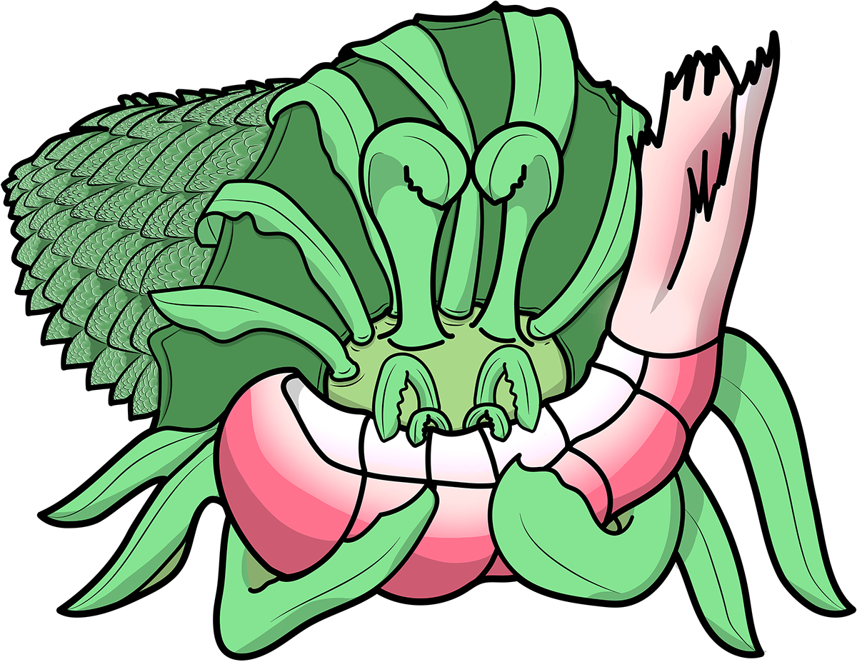 Romanesco Hermit Crab Clipart (1200x927), Png Download