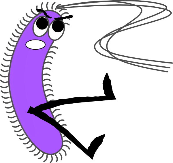 Transparent Background Bacteria Clipart - Png Download (600x565), Png Download