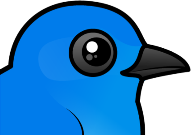 Bluebird Clipart Mountain Bluebird - Scrub Jay - Png Download (640x480), Png Download
