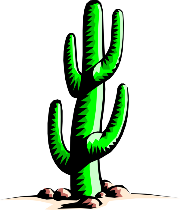 Banner Library Stock Desert Image Illustration Of Vegetation